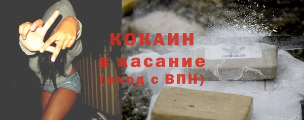 твердый Кулебаки