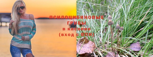 мяу мяу мука Кукмор